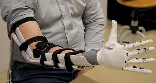 Eine Studie der Hes-so Wallis findet in der Fachzeitschrift Nature Scientific Data internationale Resonanz.