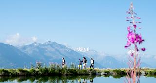 Die Strategie von Bellwald Tourismus, vermehrt auf den Sommertourismus zu setzen, macht sich in den finanziellen Kennzahlen deutlich bemerkbar.