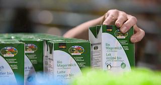 257 Bio-Betriebe im Wallis, davon 136 im Oberwallis. Die Nachfrage nach Biomilch w&auml;chst zwar, sei aber zu klein. (Symbolbild)