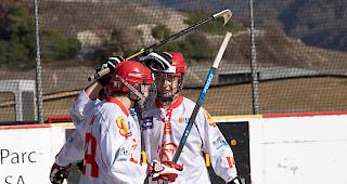 Die Streethockeyaner der Siders Lions, im April in Raron um den Schweizer Cup.