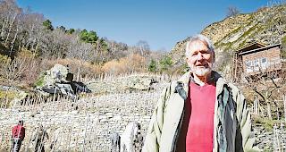 J&auml;ger verlorener Sch&auml;tze. Josef-Marie Chanton im Rebberg Esch in Zeneggen, wo er mit seinen Vereinskollegen Himbertscha,  Completer, VinEsch Roter und Alter Landroter kultiviert.