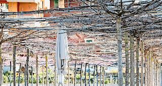 Aus. Die Gastronomie leidet, heute gibt es Details zum  Hilfsprogramm. Foto mengis media/andrea soltermann