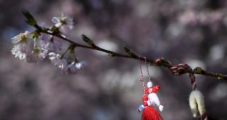 Die Leute versuchen den Spagat zwischen Einhaltung der Behörden-Warnungen und dem natürlichen Bedürfnis, in die Natur zu gehen, hiess es vonseiten der Basler Polizei. (Bild: Bern)