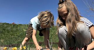 Macht Spass. Arbeiten mit einem &laquo;Garten-kit&raquo; von Pfyn-Finges: Natur im allern&auml;chster 
N&auml;he erleben.