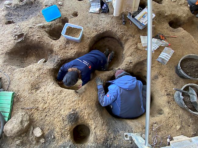 Die archäologischen Arbeiten kosten Bund und Kanton knapp acht Millionen Franken. (Bild: Archäologen graben in Naters Pfostenlöcher aus.)