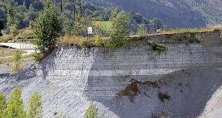 Die Gruppe Umwelt und Verkehr OGUV fordert einen runden Tisch mit neutralen Experten, Umweltorganisationen und &Auml;rzten.